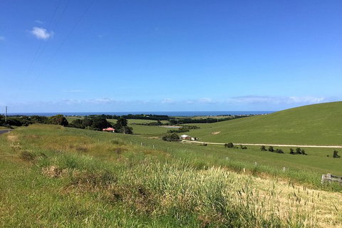 Day Tour Of Phillip Island, The Surrounding Region And Wine Tasting - Accommodation Resorts 6