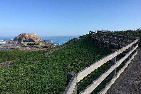 Day Tour Of Phillip Island, The Surrounding Region And Wine Tasting - Accommodation Resorts 11