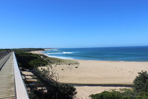 Day Tour Of Phillip Island, The Surrounding Region And Wine Tasting - Accommodation Resorts 4