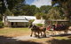 Phillip Island Churchill Island Heritage Farm: Entry Ticket - thumb 0