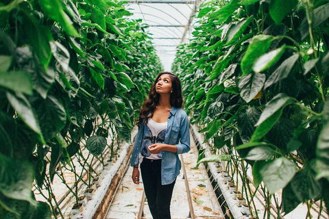 Yarra Valley Local Produce And Wine Tasting Tour - Accommodation Resorts 11