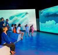 Phillip Island Antarctic Journey Entry ticket - Accommodation Resorts