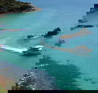 Cape Woolamai Sightseeing Cruise from San Remo - Accommodation Resorts