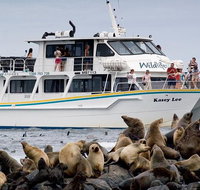 Phillip Island Seal-Watching Cruise - Accommodation Resorts
