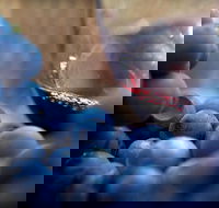 Small Group 6 guests Ultimate Mornington Peninsula Food and Wine - Accommodation Resorts