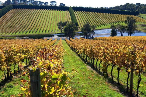 Small Group 6 Guests: Ultimate Mornington Peninsula Food And Wine - Accommodation Resorts 3