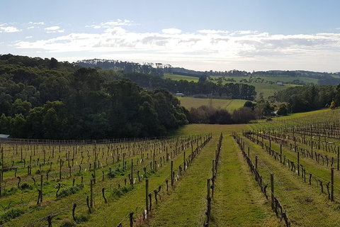 Yarra Valley Winery Private Tour - Accommodation Resorts 0