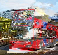 Hobart Hop-on Hop-off Bus Tour - Accommodation Resorts