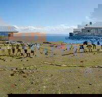 Maria Island Active Day Trip from Hobart - Accommodation Resorts
