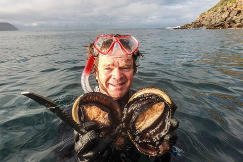 Fresh From The Ocean: Tasmanian Seafood Gourmet Full-Day Cruise Including Lunch - Accommodation Resorts 1