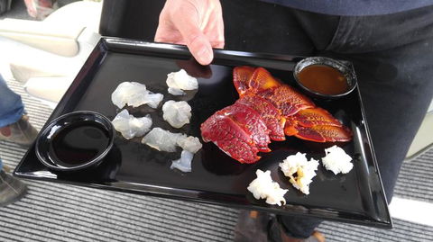 Fresh From The Ocean: Tasmanian Seafood Gourmet Full-Day Cruise Including Lunch - Accommodation Resorts 5
