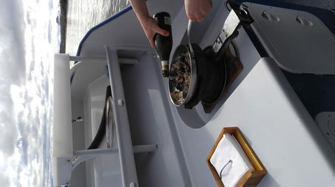 Fresh From The Ocean: Tasmanian Seafood Gourmet Full-Day Cruise Including Lunch - Accommodation Resorts 9