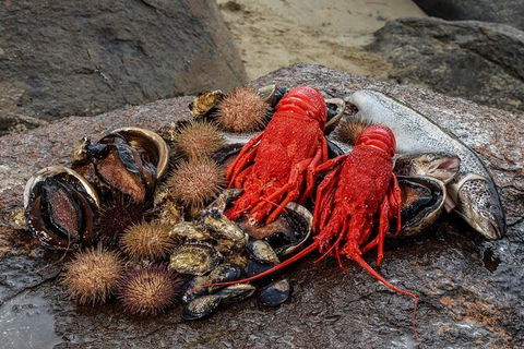 Fresh From The Ocean: Tasmanian Seafood Gourmet Full-Day Cruise Including Lunch - Accommodation Resorts 16