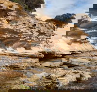 Maria Island premium private photo-oriented day tour from Hobart - Accommodation Resorts