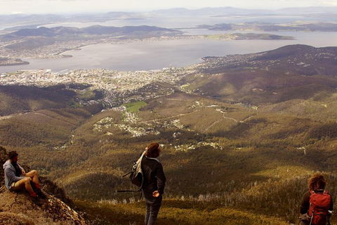 Mt Wellington Half Day Guided Summit Hike - Accommodation Resorts 0
