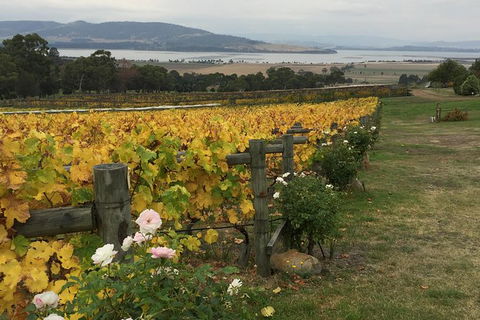 Mona And Wine Experience Tour - Accommodation Resorts 0