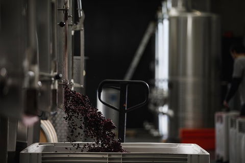 Private 90-minute Moorilla Estate Winery Tour With Tastings And Free Wine Gift - Accommodation Resorts 1