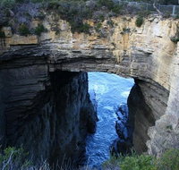 Cruise Ship Special from Port Arthur Explore Tasman Peninsula with free WiFi - Accommodation Resorts