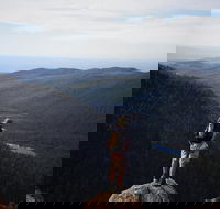 Mount Field National Park - Tarn Shelf  Russell Falls - Guided Hiking Tour - Accommodation Resorts