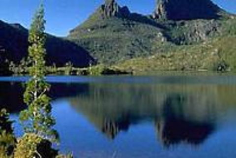 Cradle Mountain National Park Day Tour From Launceston - Accommodation Resorts 0