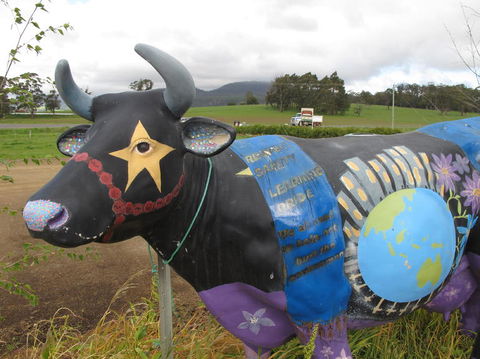 Cradle Mountain National Park Day Tour From Launceston - Accommodation Resorts 18