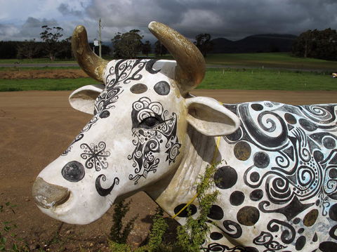Cradle Mountain National Park Day Tour From Launceston - Accommodation Resorts 19