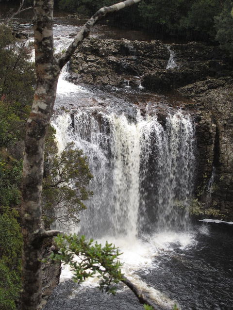 Cradle Mountain National Park Day Tour From Launceston - Accommodation Resorts 3