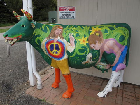 Cradle Mountain National Park Day Tour From Launceston - Accommodation Resorts 4
