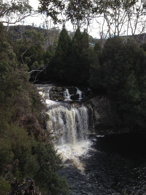 Cradle Mountain National Park Day Tour From Launceston - Accommodation Resorts 5
