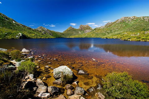 Cradle Mountain National Park Day Tour From Launceston - Accommodation Resorts 22