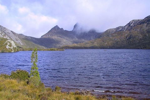 Cradle Mountain National Park Day Tour From Launceston - Accommodation Resorts 21