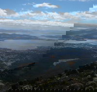 Mount Wellington Tour from Hobart - Accommodation Resorts