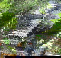 Mt Field National Park and Russell Falls from Hobart - Accommodation Resorts