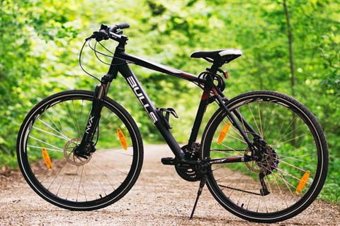 Hobart Shore Excursion: Small Group Mount Wellington 3-Hour Bike Tour - Accommodation Resorts 1