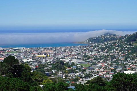 Hobart Shore Excursion: Small Group Mount Wellington 3-Hour Bike Tour - Accommodation Resorts 0