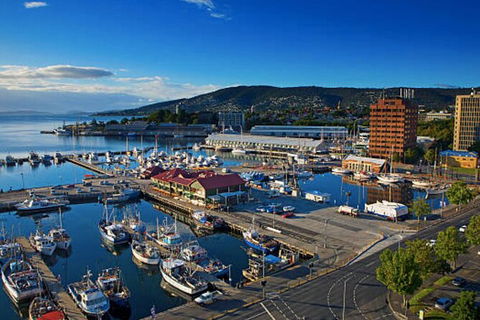 Hobart Shore Excursion: Small Group Mount Wellington 3-Hour Bike Tour - Accommodation Resorts 6
