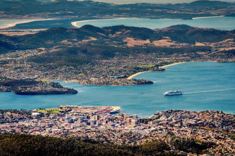 Hobart Shore Excursion: Small Group Mount Wellington 3-Hour Bike Tour - Accommodation Resorts 3