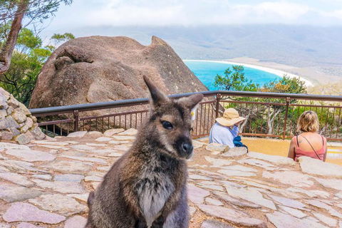 Wineglass Bay & Freycinet NP Full Day Tour From Hobart Via Richmond Village - Accommodation Resorts 0