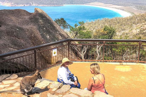 Wineglass Bay & Freycinet NP Full Day Tour From Hobart Via Richmond Village - Accommodation Resorts 7