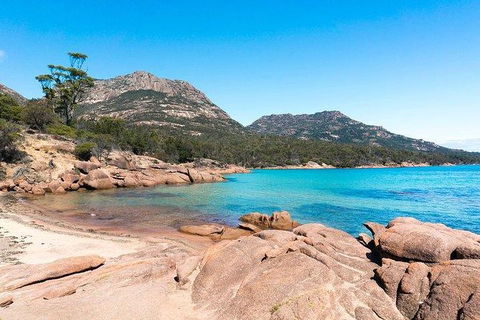 Wineglass Bay & Freycinet NP Full Day Tour From Hobart Via Richmond Village - Accommodation Resorts 4
