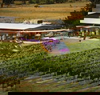 Home Hill Winery Helicopter Tour - Accommodation Resorts
