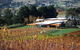 Home Hill Winery Helicopter Tour - thumb 1