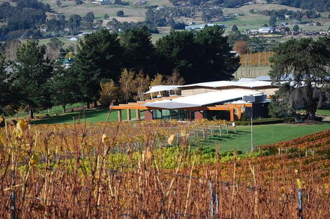 Home Hill Winery Helicopter Tour - Accommodation Resorts 1