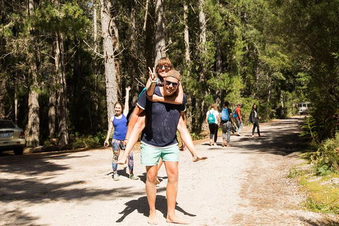 7-Day Best Of Tasmania Adventure Experience From Hobart (flexible Ticket) - Accommodation Resorts 5