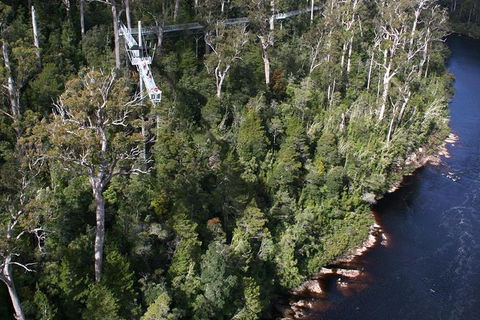 Cruise Ship Special From Hobart: Mt Wellington And Tahune AirWalk - Accommodation Resorts 1