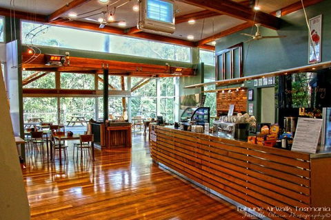 Cruise Ship Special From Hobart: Mt Wellington And Tahune AirWalk - Accommodation Resorts 5
