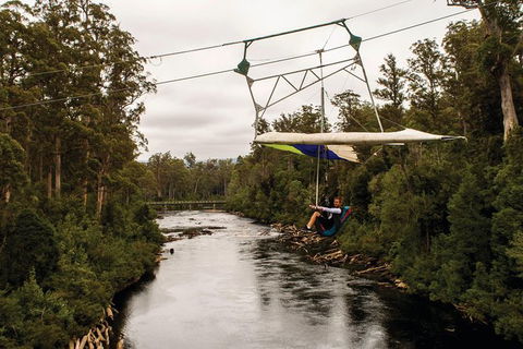 Cruise Ship Special From Hobart: Mt Wellington And Tahune AirWalk - Accommodation Resorts 3