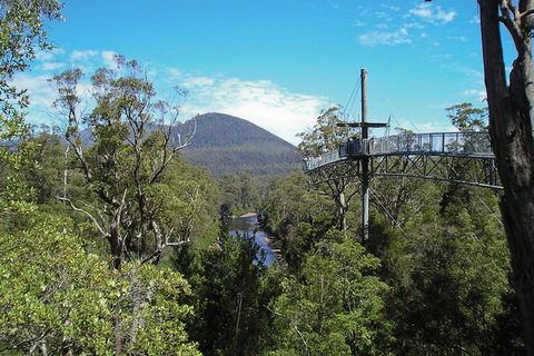 Cruise Ship Special From Hobart: Mt Wellington And Tahune AirWalk - Accommodation Resorts 4