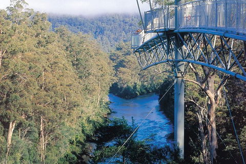 Small-groupTour From Hobart: Mt. Wellington, Huon Valley And Tahune AirWalk - Accommodation Resorts 0