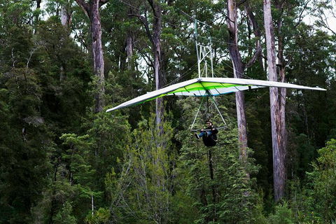 Small-groupTour From Hobart: Mt. Wellington, Huon Valley And Tahune AirWalk - Accommodation Resorts 4